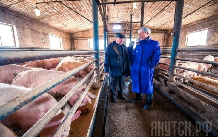 В Якутии обсуждают исчезновение местной свинины: &laquo;Где купить свежатину?&raquo;