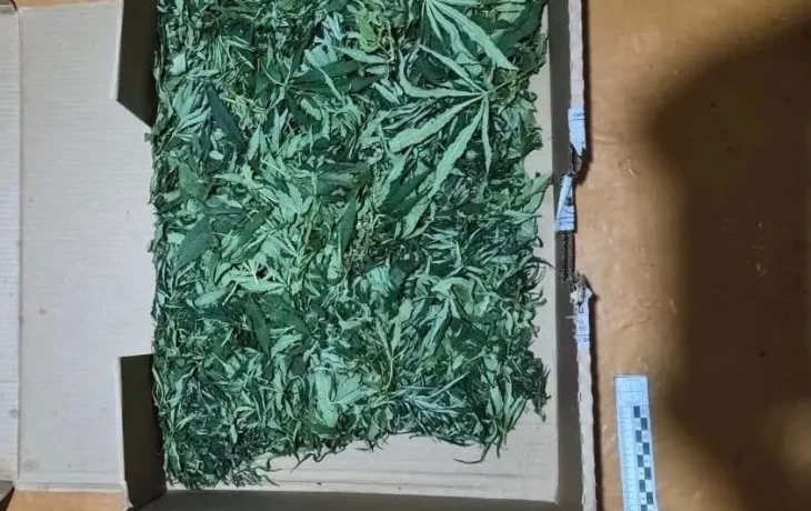 В Якутии двух мужчин поймали с крупной партией конопли
