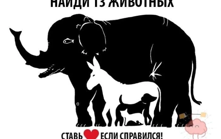 Сколько животных спрятано на картинке? Проверьте свою наблюдательность!