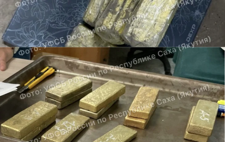 В Якутии в собственность государства обращено бесхозяйное золото на сумму более 100 млн рублей