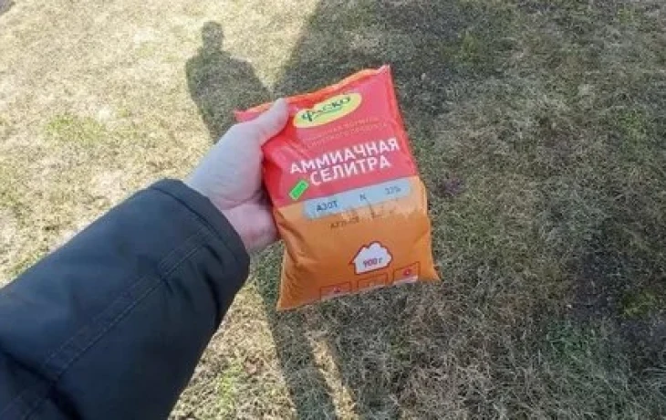Азотный взрыв на&nbsp;грядках: как&nbsp;правильно использовать аммиачную селитру, чтобы не&nbsp;&laquo;сжечь&raquo; рассаду