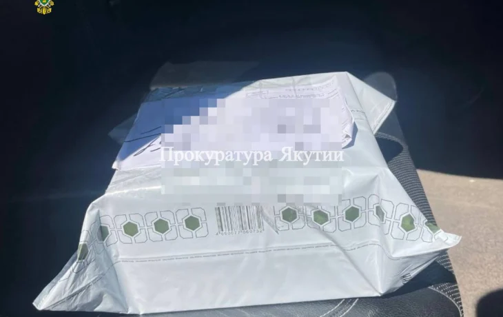 Двое жителей Айхала задержаны за незаконную пересылку наркотиков