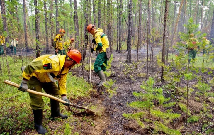 Более 500 человек борются с 13 пожарами в лесах Якутии