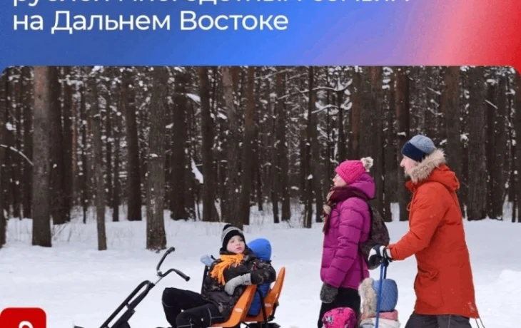 &laquo;Единая Россия&raquo; предложила продлить выплаты многодетным семьям на Дальнем Востоке до 2029 года включительно