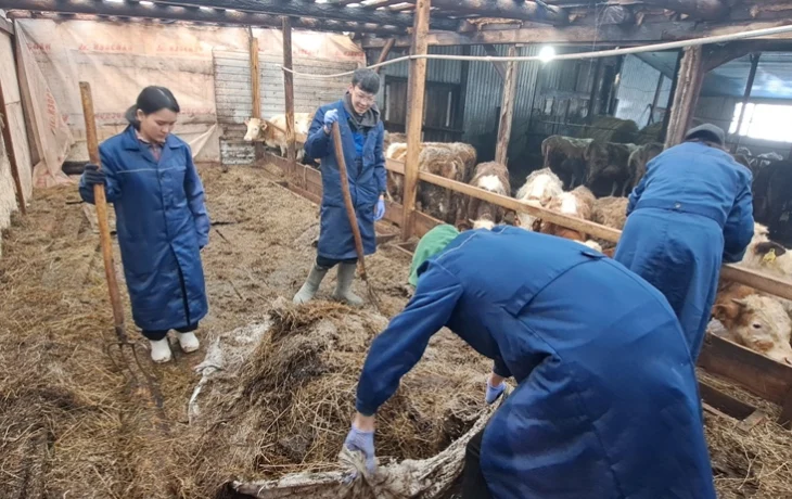 Кириэс-Халдьаайы ыччата хаһаайыстыбаҕа көмөлөстө