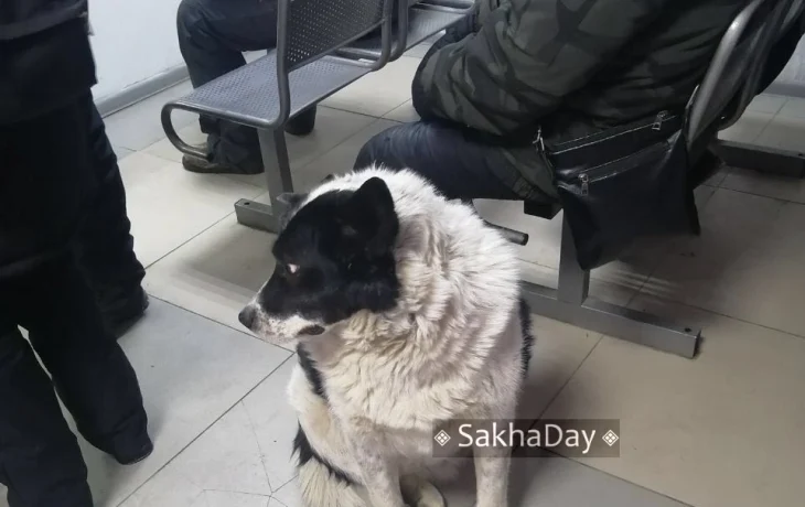 Теплые автобусные остановки закрываются на лето