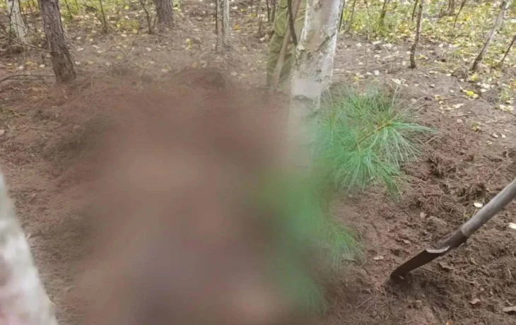 Тела двух женщин со следами нападения медведя нашли в Красноярском крае