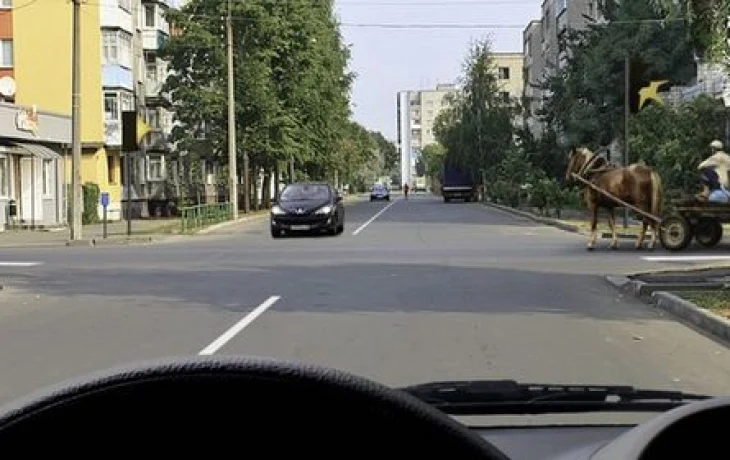 Когда светофор ушёл в отпуск, лошадь стала главной &mdash; обидно, слушай: вопрос экзамена ПДД 45% отвечавших явно пришёлся не по душе