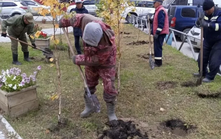 Более 800 деревьев за неделю посадили в округах Якутска