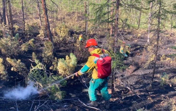 В Мирнинском и Олекминском районах Якутии ликвидировали два лесных пожара