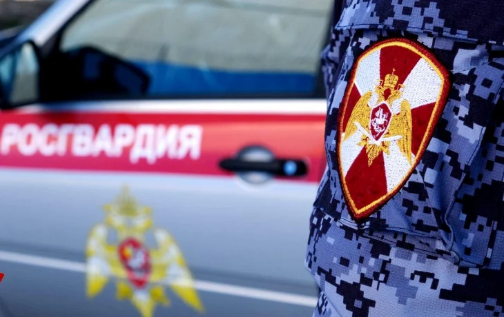 Драки, дебоши, неоплата счетов: за неделю Росгвардия задержала 84 нарушителя в Якутии