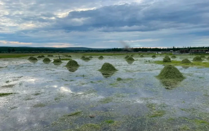 Минсельхоз Якутии ведёт подсчёт ущерба в селах Верхоянского улуса