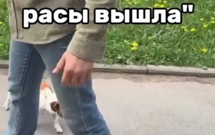 Девушка из Якутии заявила о расизме в Санкт-Петербурге после конфликта в парке