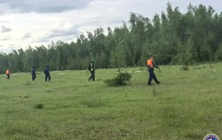 В Хангаласском улусе ищут 66-летнюю женщину, ушедшую в лес за ягодами
