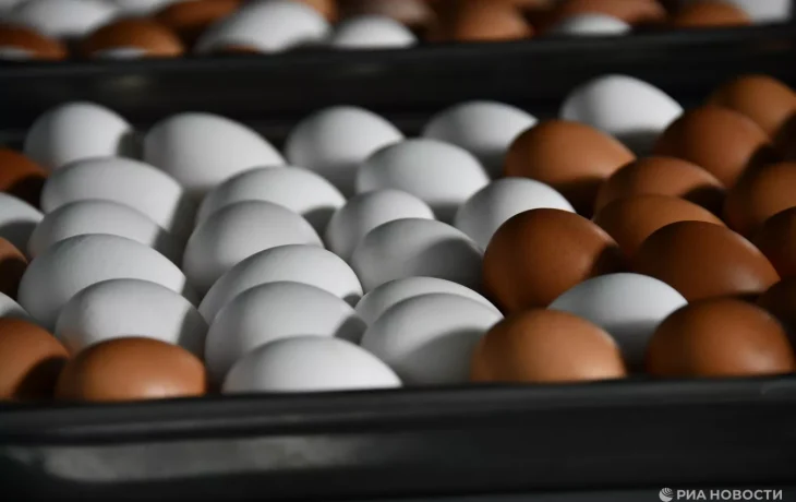 Яйца, масло и рыба: АКОРТ назвала самые подешевевшие продукты мая
