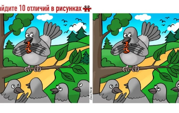 Хитрый маневр на&nbsp;ветке: сможете&nbsp;ли вы&nbsp;отыскать 10 мелких деталей на&nbsp;картинке меньше чем за&nbsp;минуту