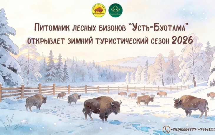 В питомнике лесных бизонов &laquo;Усть-Буотама&raquo; в Якутии начинается турсезон