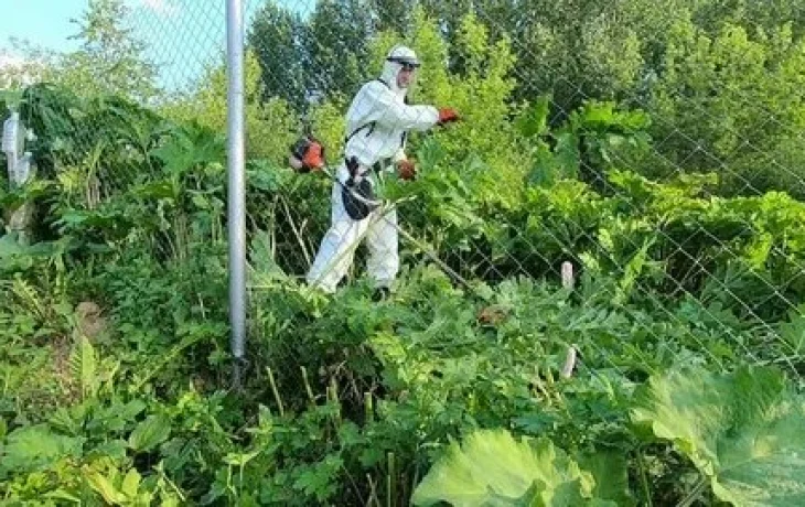 Как&nbsp;не&nbsp;угодить за&nbsp;решётку из-за сорняка: с&nbsp;1&nbsp;марта 2026 года новые правила для&nbsp;дачников&nbsp;&mdash; штраф от&nbsp;50 тысяч рублей