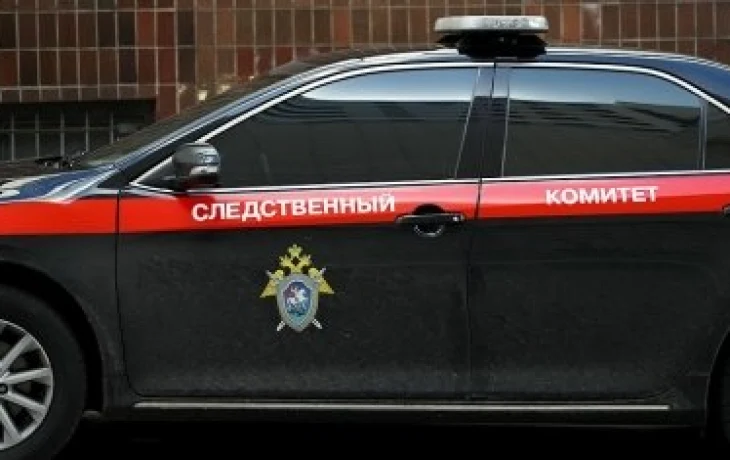 Глава СК России поручил возбудить уголовное дело после нападения собаки на школьницу в Якутске