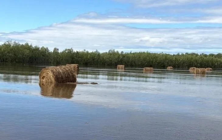 В Якутии ведут подсчет подтопленных сельхозугодий