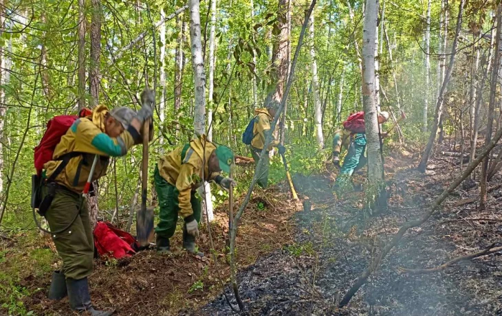 В Якутии за сутки потушили 4 природных пожара