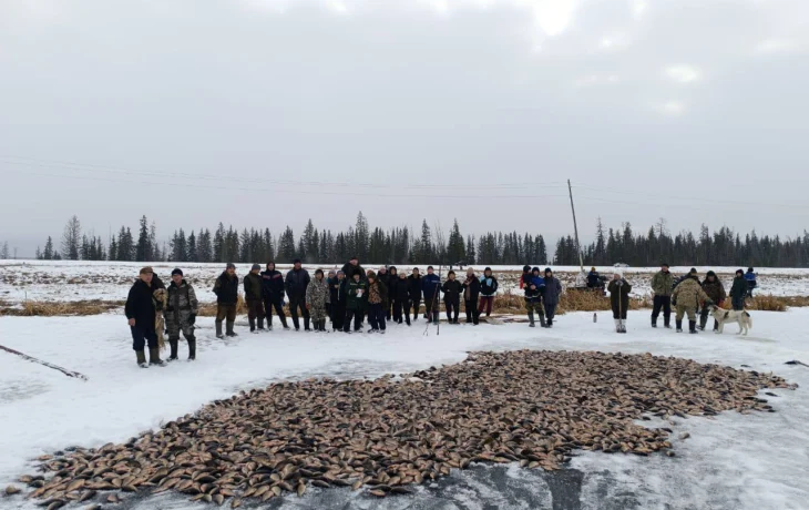 Что говорят народные приметы о погоде в ноябре