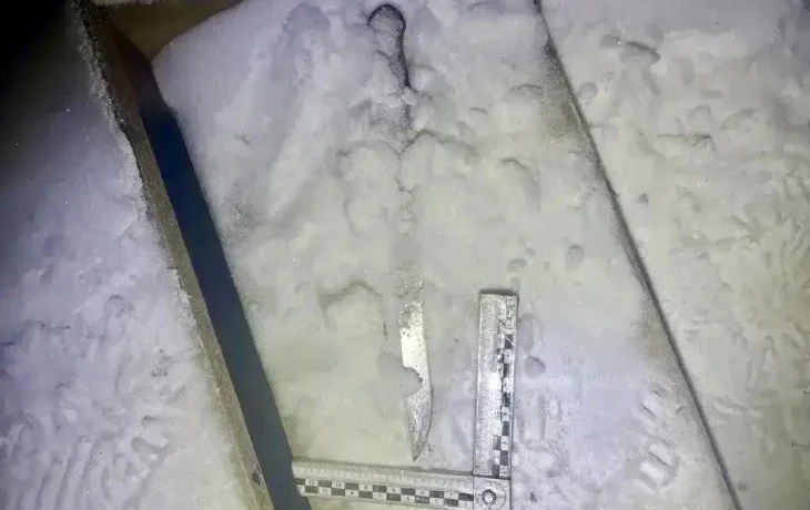 Жительница Якутии убила сожителя одним ударом ножа: Вынесен приговор