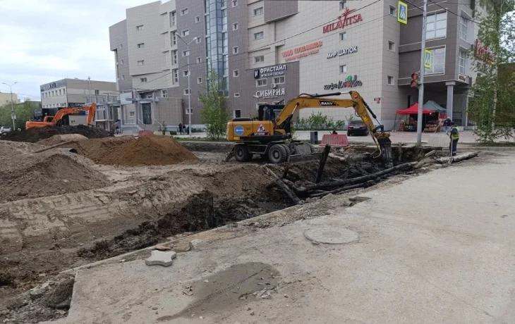 На улице Ойунского в Якутске проведут работы по вырубке и санитарной обрезке деревьев для обеспечения безопасности дорожного движения