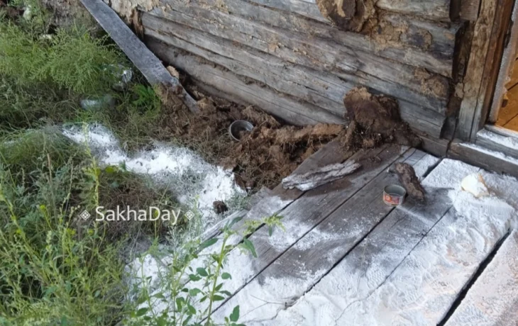 В Амгинском улусе медведь обокрал проповедника