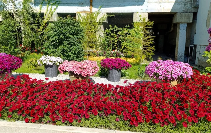 В Якутске стартовал второй этап конкурса &laquo;Зеленый кубок столицы&raquo;