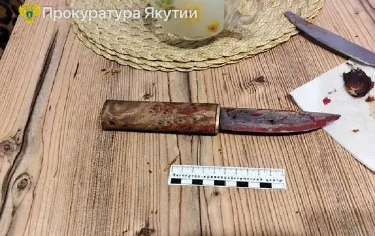 68-летний житель Якутии убил пасынка ударом ножа в шею: Вынесен приговор