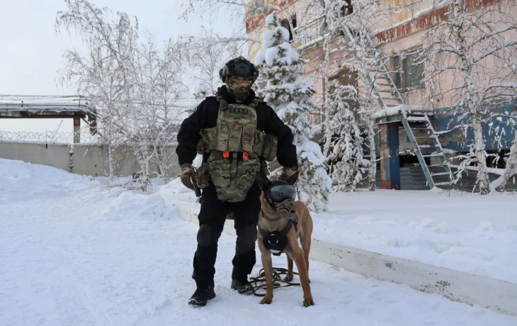 Овчарка Ястреб из Якутского ОМОНа участвует в фотоконкурсе служебных собак Росгвардии