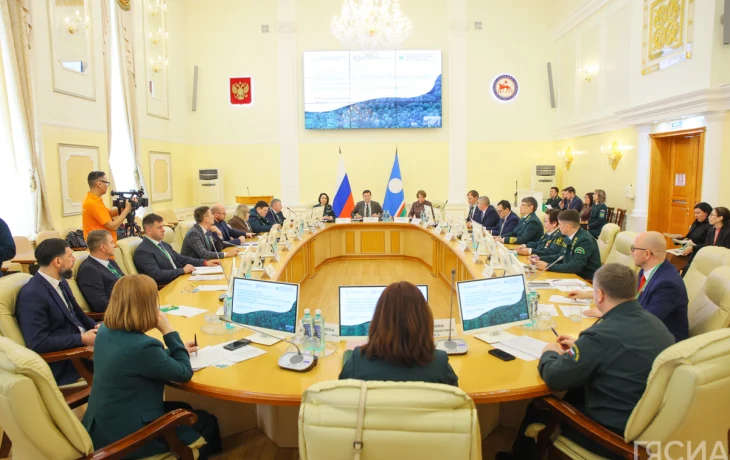 Якутия стала лидером по восстановлению лесов после пожаров среди регионов ДФО