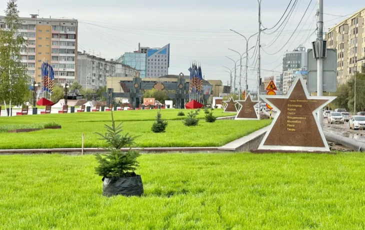 Зеленые и голубые ели высадили на площади Победы в Якутске