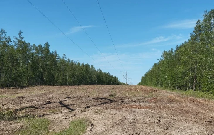 В Центральном энергорайоне Якутии энергетики расчистили от поросли более 800 гектаров просек ЛЭП