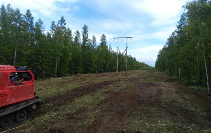 Энергетики ЦЭС расчистили более 995 гектаров просеки ЛЭП