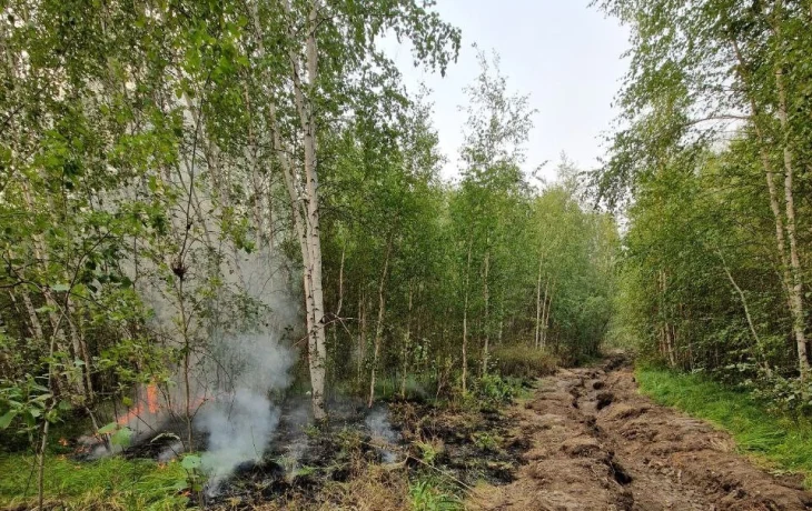 В Якутии огнеборцы потушили 9 природных пожаров