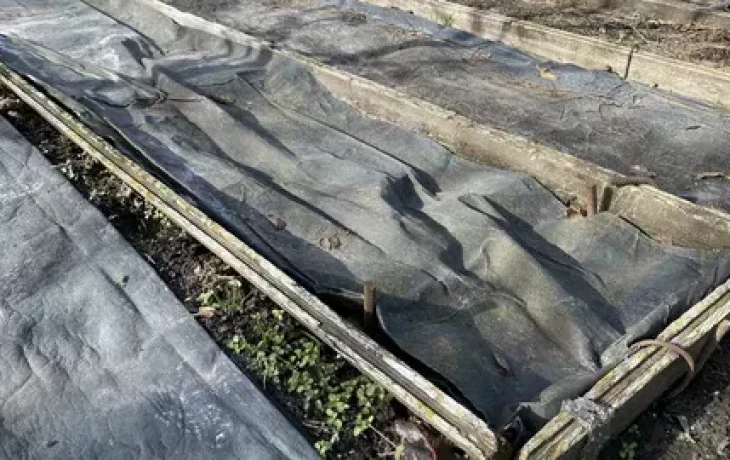 Бесплатное &laquo;золото&raquo; для&nbsp;дачи: почему опытные садоводы везут из&nbsp;магазинов пустые коробки