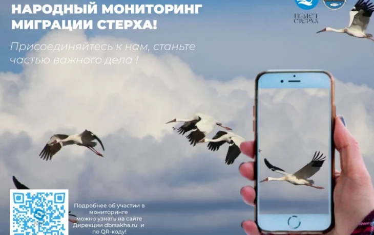 В Якутии народный мониторинг миграции краснокнижного стерха станет постоянным