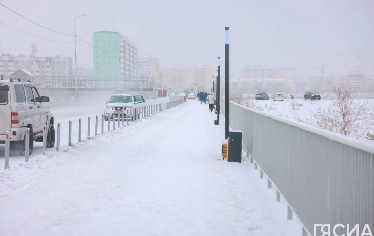 Снег и порывы ветра прогнозируются в Якутии 22 февраля