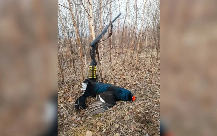 &ldquo;РОХа-тааҕар мэдиссиинэ ыспыраапката ыйааһыннаах&rdquo;