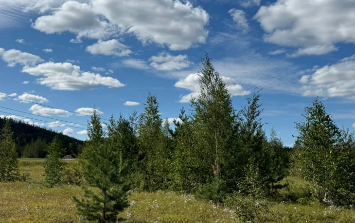 На юго-западе и западе Якутии ожидается теплая погода до +29&deg;