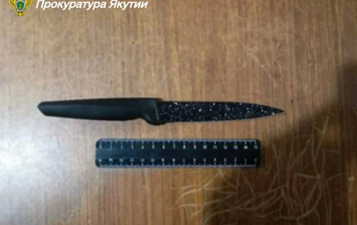 В Абыйском улусе мужчина нанес смертельное ранение коллеге на почве рабочего конфликта: Вынесен приговор