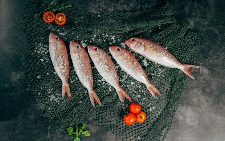 Форшмак как от Бога &mdash; очень вкусный и простой рецепт на любой праздник или просто так