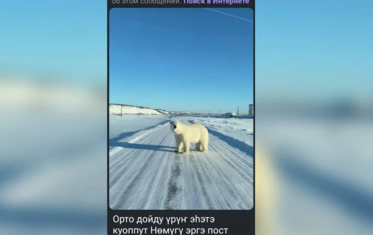 В зоопарке &laquo;Орто Дойду&raquo; опровергли слухи о побеге белого медведя