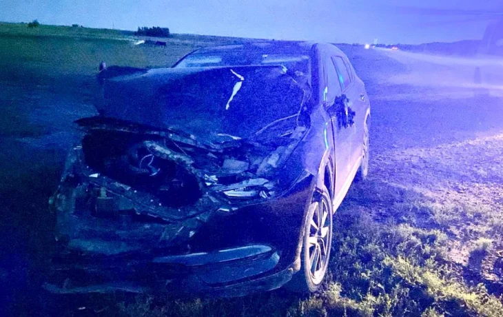 В Якутии автоледи сбила табун лошадей, одно животное погибло