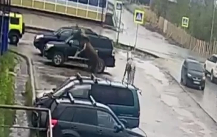 В Якутии произошел необычный случай порчи чужого автомобиля: Опубликовано видео