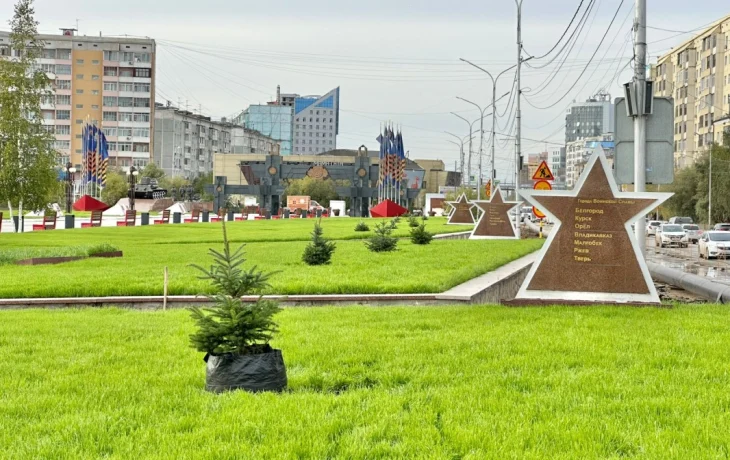 Голубые ели высадили на площади Победы в Якутске