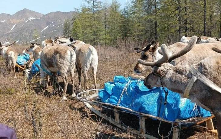 Табалаах табаһыттара оҕолорун оскуолаҕа үөрэхтэригэр ыытаары бөртөлүөт күүтэллэр